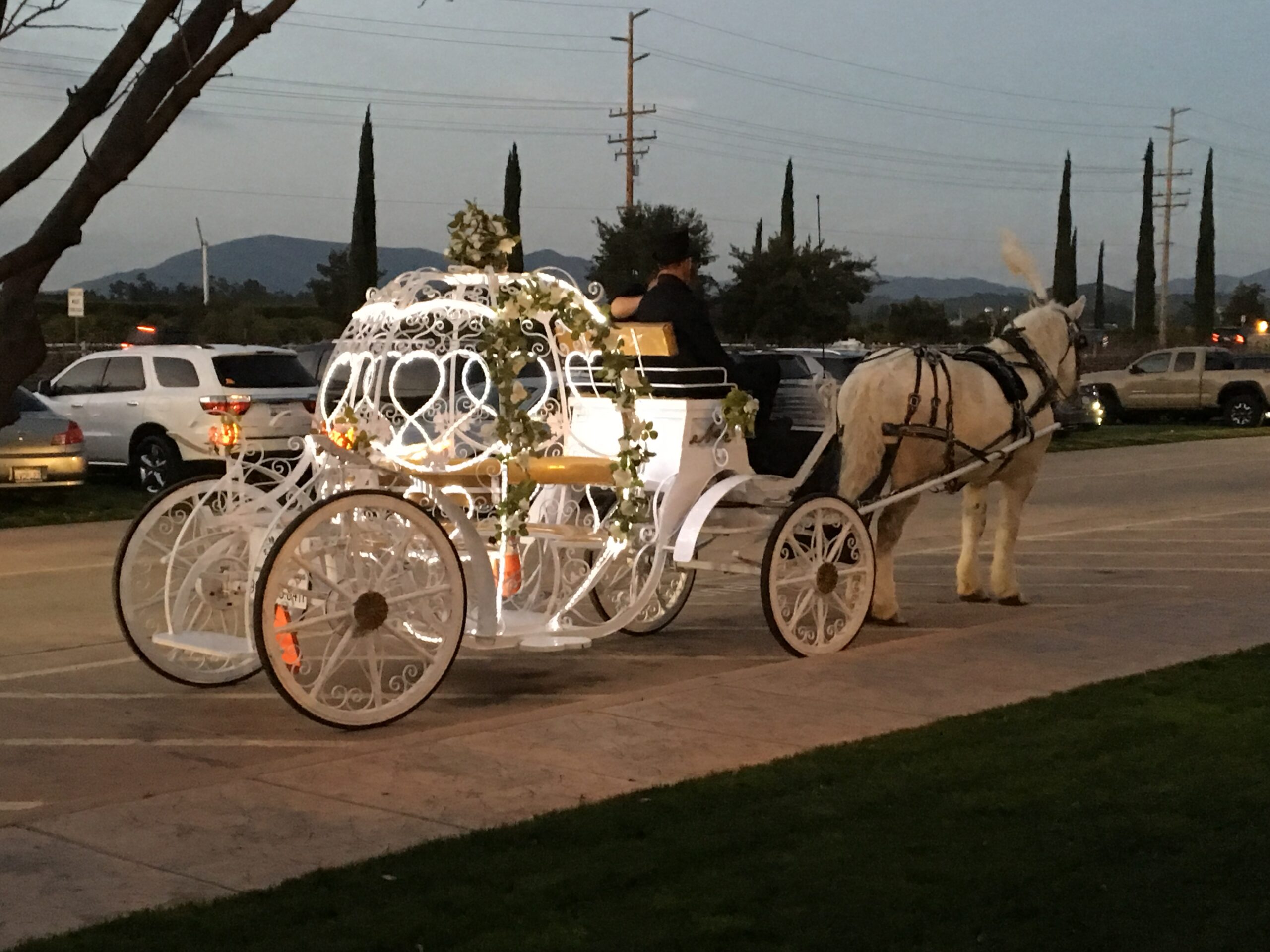 Temecula-adventures-carriage ride